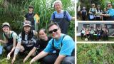 圖3_師生共同協助復育瀕危的臺灣特有水生植物_桃園石龍尾__Limnophila_taoyuanensis_